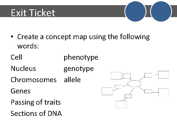 Exit Ticket • Create a concept map using the following words: Cell phenotype Nucleus