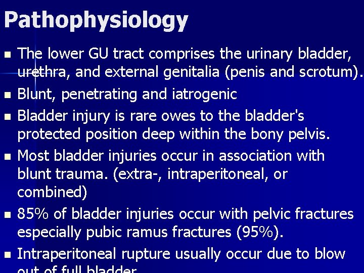 Pathophysiology n n n The lower GU tract comprises the urinary bladder, urethra, and