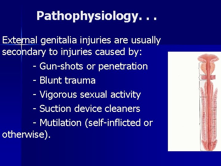 Pathophysiology. . . External genitalia injuries are usually secondary to injuries caused by: -