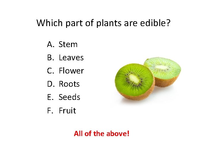 Which part of plants are edible? A. B. C. D. E. F. Stem Leaves