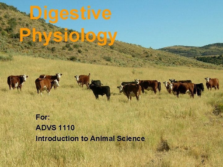 Digestive Physiology For: ADVS 1110 Introduction to Animal Science 