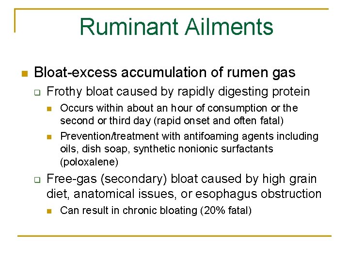 Ruminant Ailments n Bloat-excess accumulation of rumen gas q Frothy bloat caused by rapidly