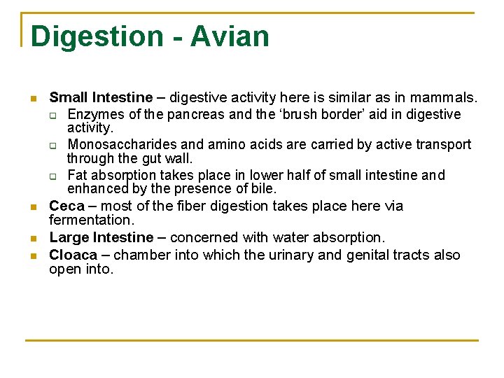 Digestion - Avian n n Small Intestine – digestive activity here is similar as