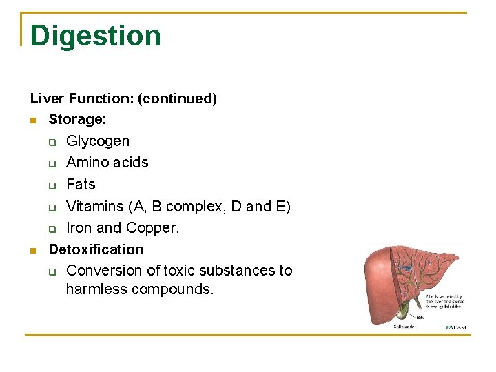 Digestion Liver Function: (continued) n Storage: q Glycogen Amino acids q Fats q Vitamins