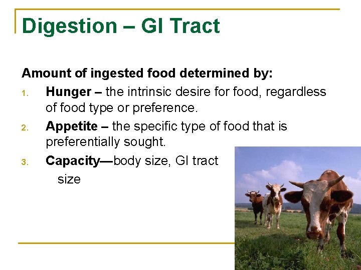 Digestion – GI Tract Amount of ingested food determined by: 1. Hunger – the