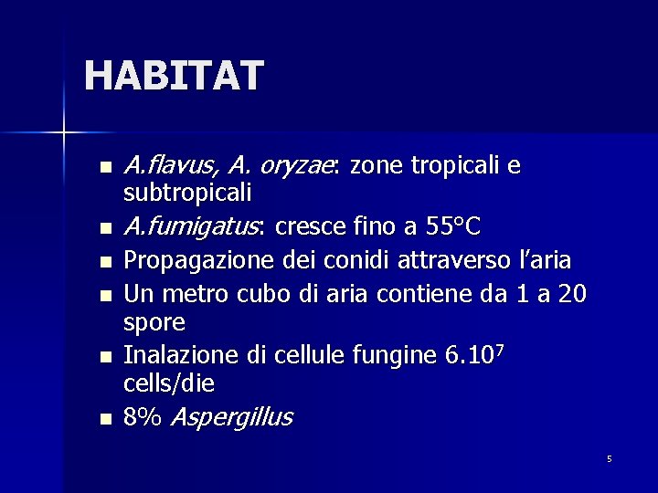 HABITAT n A. flavus, A. oryzae: zone tropicali e n A. fumigatus: cresce fino