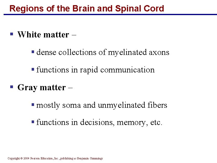 Regions of the Brain and Spinal Cord § White matter – § dense collections