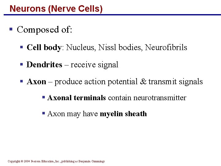 Neurons (Nerve Cells) § Composed of: § Cell body: Nucleus, Nissl bodies, Neurofibrils §