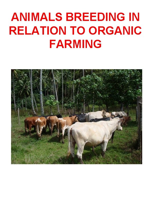 ANIMALS BREEDING IN RELATION TO ORGANIC FARMING 