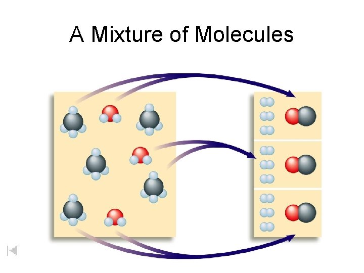 A Mixture of Molecules 