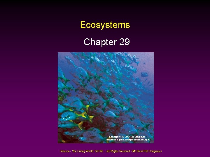 Ecosystems Chapter 29 Copyright © Mc. Graw-Hill Companies Permission required for reproduction or display