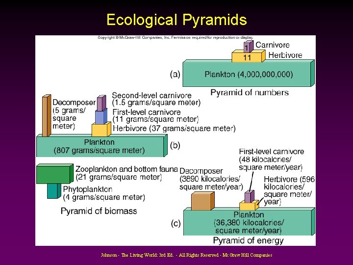 Ecological Pyramids Johnson - The Living World: 3 rd Ed. - All Rights Reserved