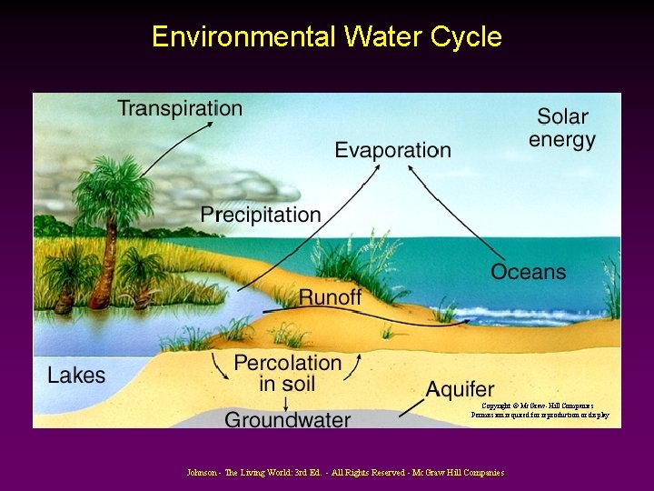 Environmental Water Cycle Copyright © Mc. Graw-Hill Companies Permission required for reproduction or display