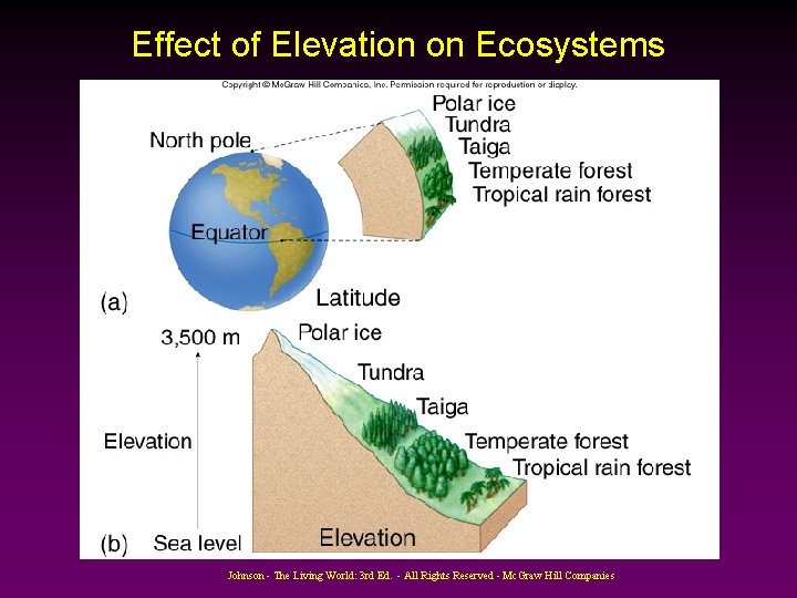 Effect of Elevation on Ecosystems Johnson - The Living World: 3 rd Ed. -