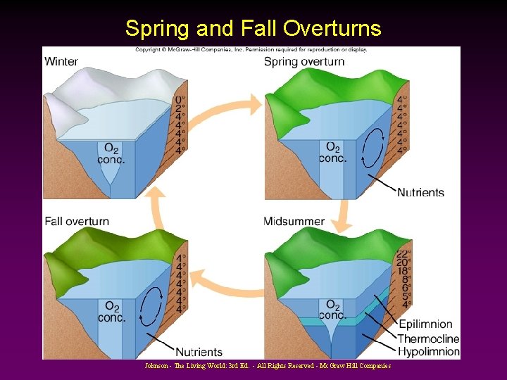 Spring and Fall Overturns Johnson - The Living World: 3 rd Ed. - All