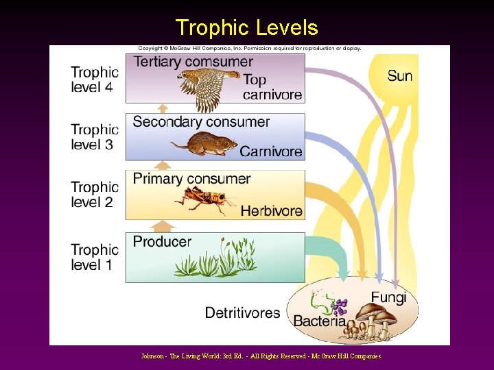 Trophic Levels Johnson - The Living World: 3 rd Ed. - All Rights Reserved