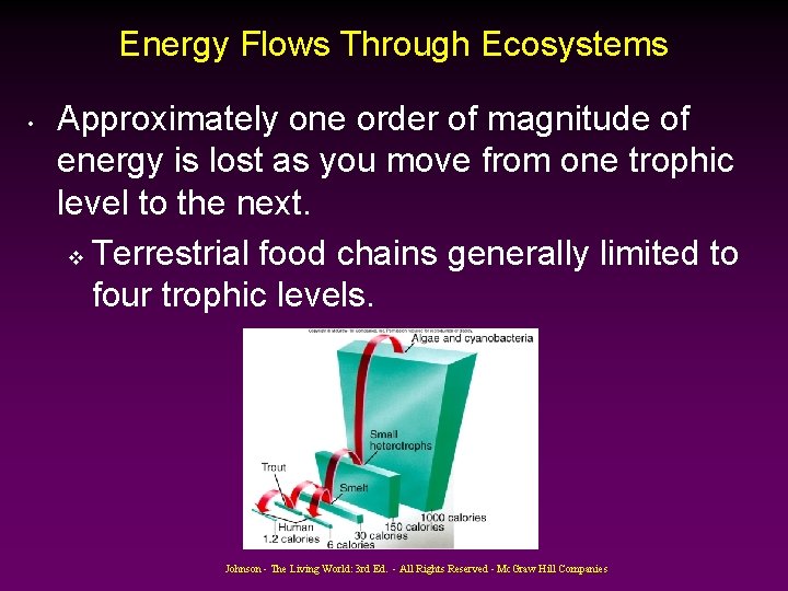 Energy Flows Through Ecosystems • Approximately one order of magnitude of energy is lost