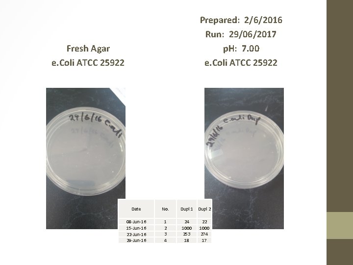 Prepared: 2/6/2016 Run: 29/06/2017 p. H: 7. 00 e. Coli ATCC 25922 Fresh Agar