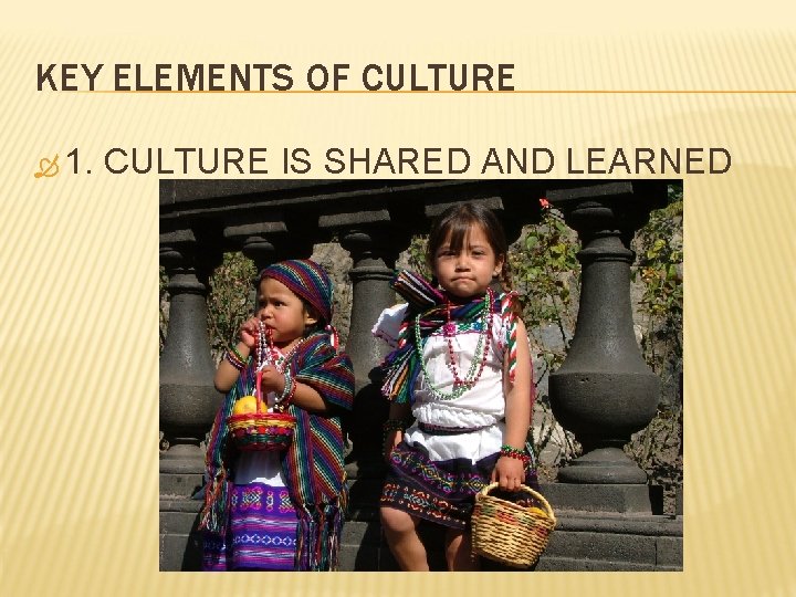 KEY ELEMENTS OF CULTURE 1. CULTURE IS SHARED AND LEARNED 
