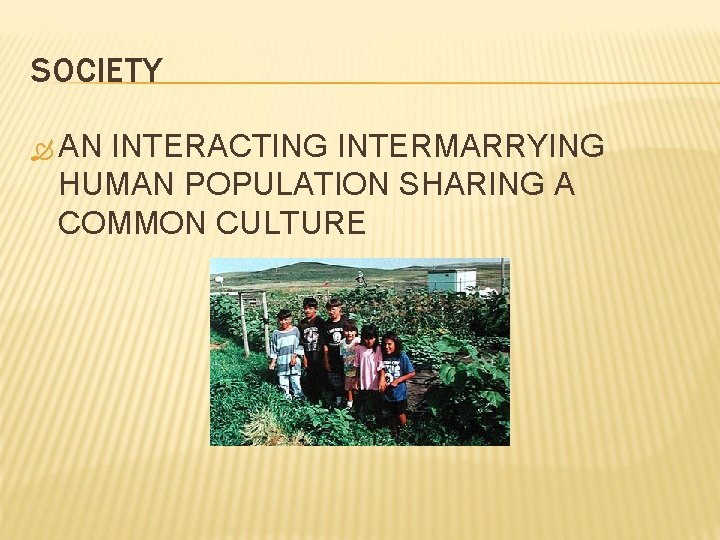 SOCIETY AN INTERACTING INTERMARRYING HUMAN POPULATION SHARING A COMMON CULTURE 