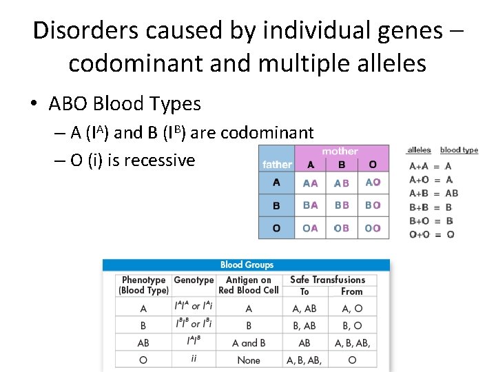 Disorders caused by individual genes – codominant and multiple alleles • ABO Blood Types