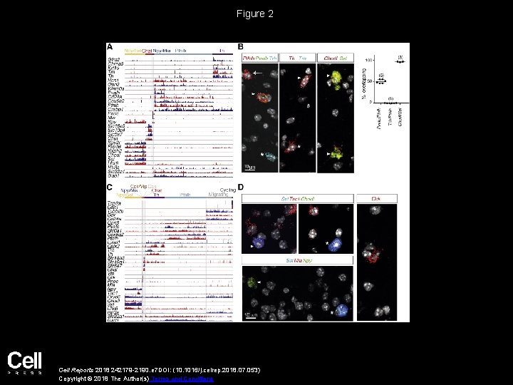Figure 2 Cell Reports 2018 242179 -2190. e 7 DOI: (10. 1016/j. celrep. 2018.