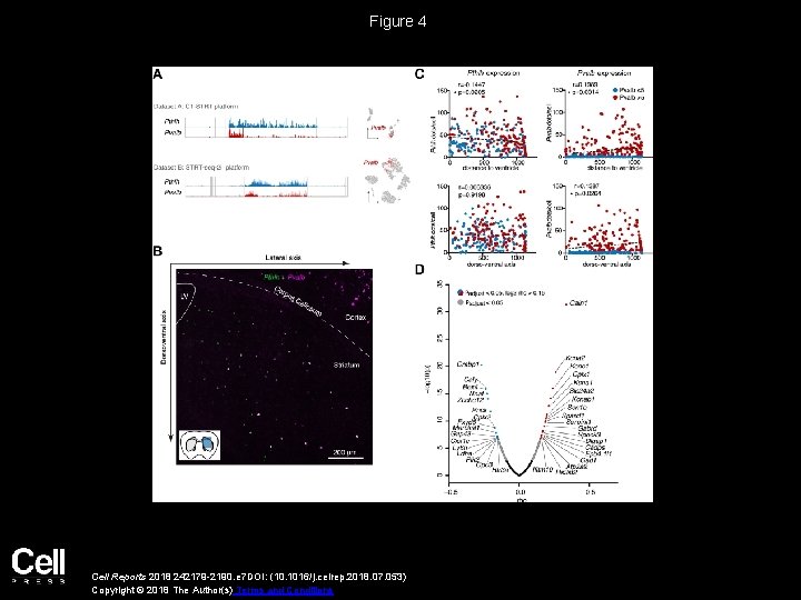 Figure 4 Cell Reports 2018 242179 -2190. e 7 DOI: (10. 1016/j. celrep. 2018.