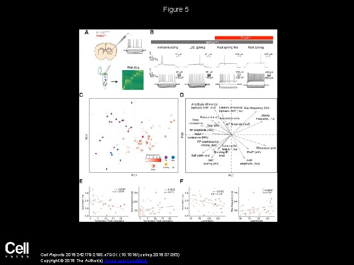 Figure 5 Cell Reports 2018 242179 -2190. e 7 DOI: (10. 1016/j. celrep. 2018.