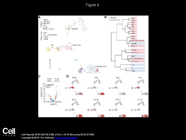 Figure 6 Cell Reports 2018 242179 -2190. e 7 DOI: (10. 1016/j. celrep. 2018.