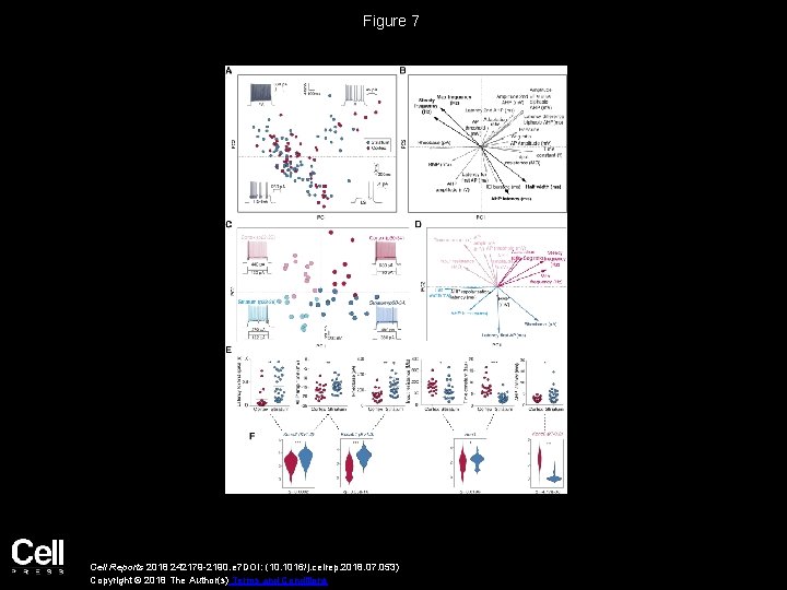 Figure 7 Cell Reports 2018 242179 -2190. e 7 DOI: (10. 1016/j. celrep. 2018.