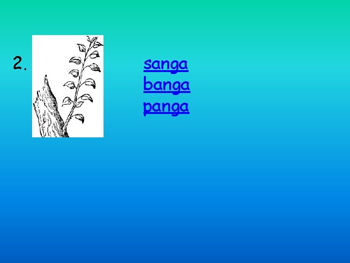 2. sanga banga panga 