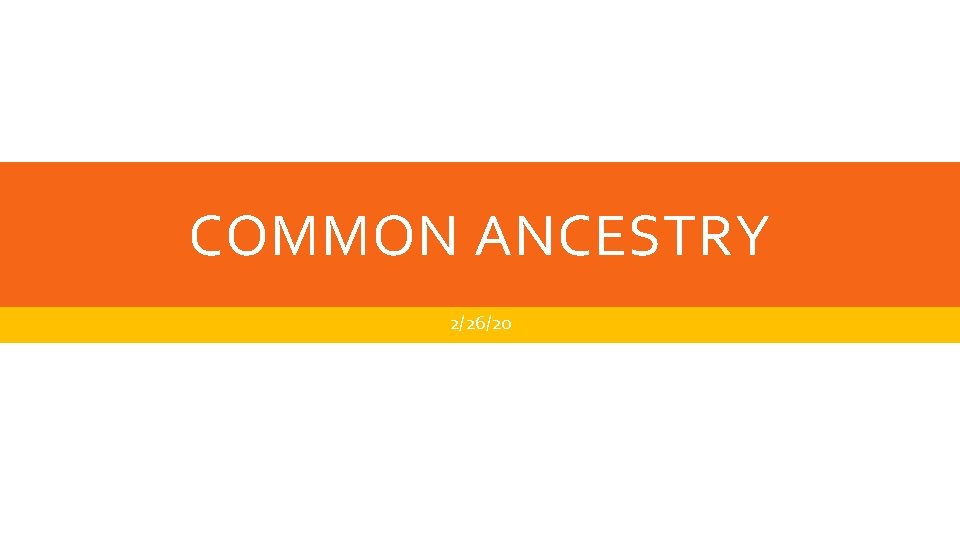 COMMON ANCESTRY 2/26/20 COMMON ANCESTRY 2/26/20