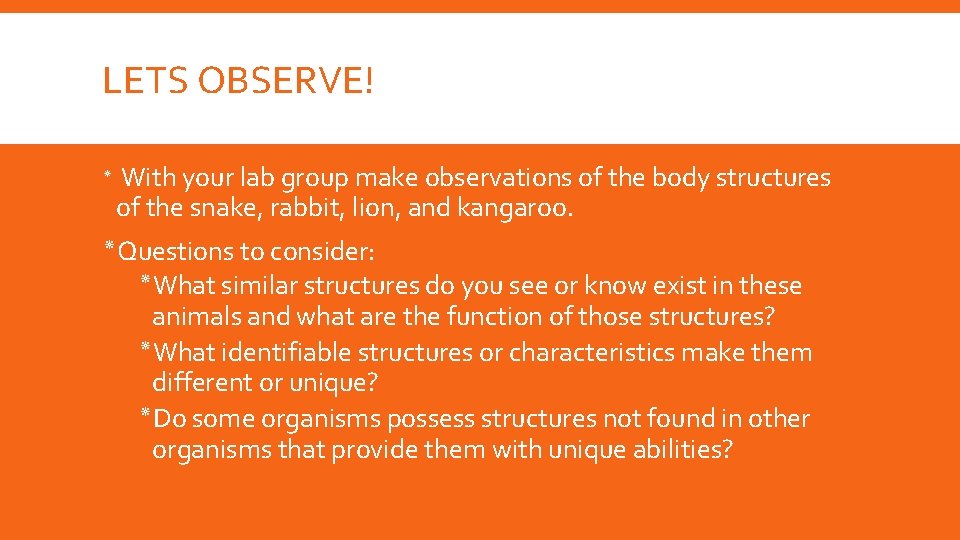 LETS OBSERVE! ٭ With your lab group make observations of the body structures of LETS OBSERVE! ٭ With your lab group make observations of the body structures of