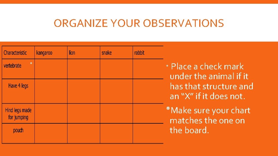 ORGANIZE YOUR OBSERVATIONS ٭ ٭ Place a check mark under the animal if it ORGANIZE YOUR OBSERVATIONS ٭ ٭ Place a check mark under the animal if it