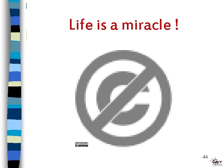 Life is a miracle ! Flickr Zachary. Tirrell 44 