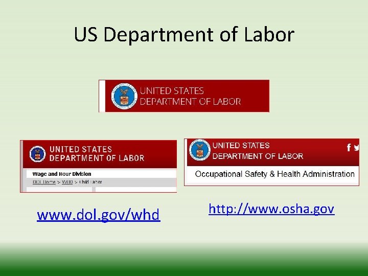 US Department of Labor www. dol. gov/whd http: //www. osha. gov 