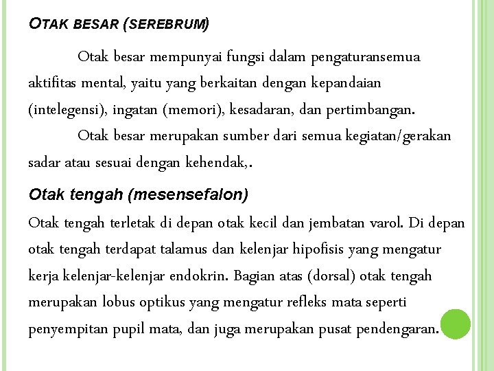 OTAK BESAR (SEREBRUM) Otak besar mempunyai fungsi dalam pengaturansemua aktifitas mental, yaitu yang berkaitan