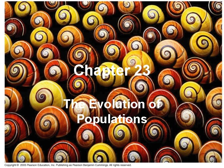 Chapter 23 The Evolution of Populations A Common