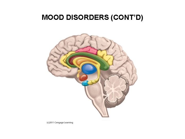 MOOD DISORDERS (CONT’D) 