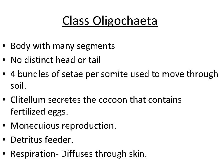 Class Oligochaeta • Body with many segments • No distinct head or tail • Class Oligochaeta • Body with many segments • No distinct head or tail •