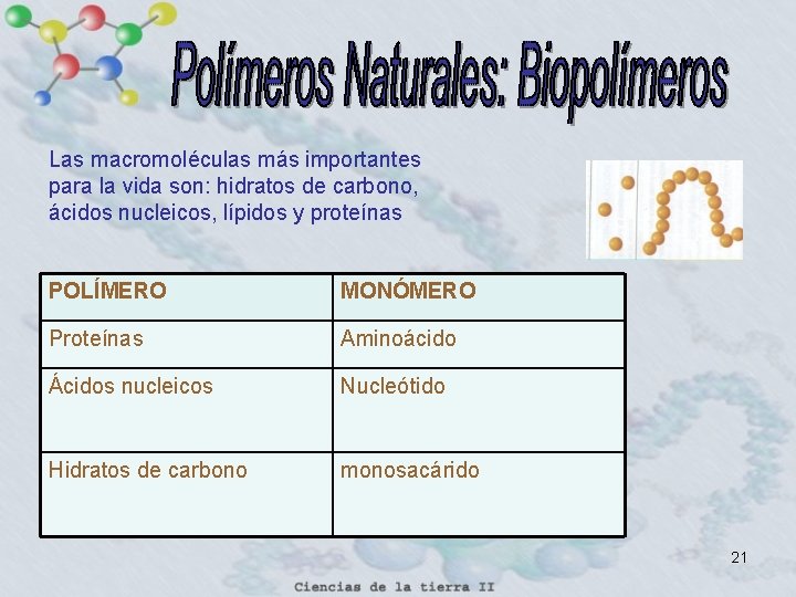 Las macromoléculas más importantes para la vida son: hidratos de carbono, ácidos nucleicos, lípidos