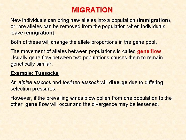 MIGRATION New individuals can bring new alleles into a population (immigration), or rare alleles MIGRATION New individuals can bring new alleles into a population (immigration), or rare alleles