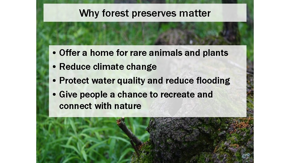 Why forest preserves matter • Offer a home for rare animals and plants •