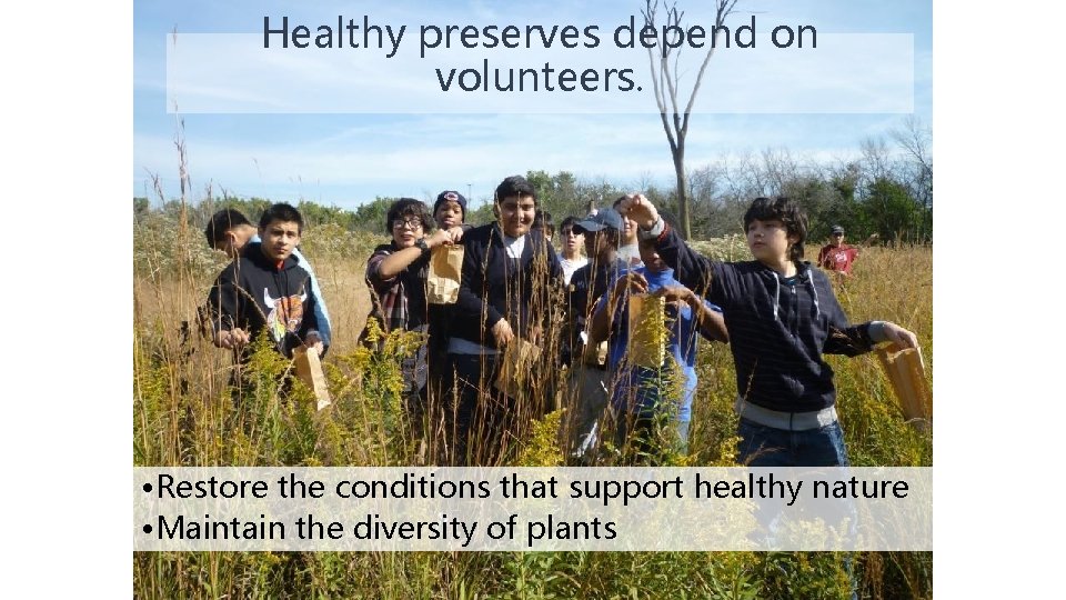 Healthy preserves depend on volunteers. • Restore the conditions that support healthy nature •