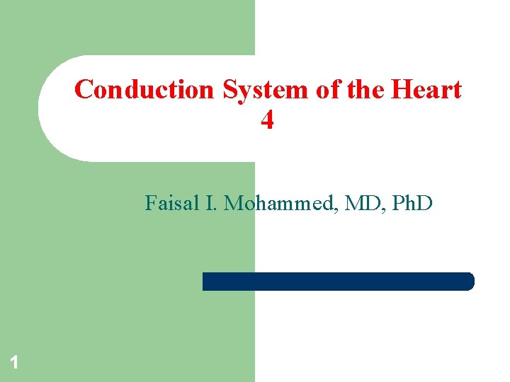 Conduction System of the Heart 4 Faisal I. Mohammed, MD, Ph. D 1 