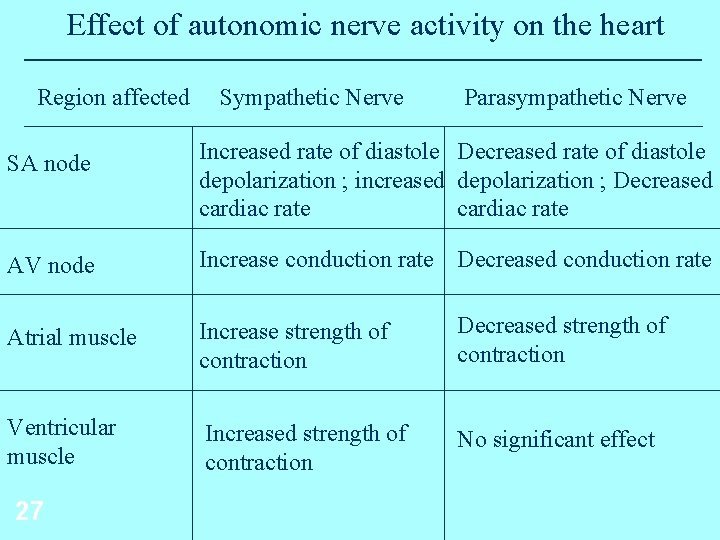 Effect of autonomic nerve activity on the heart Region affected Sympathetic Nerve Parasympathetic Nerve