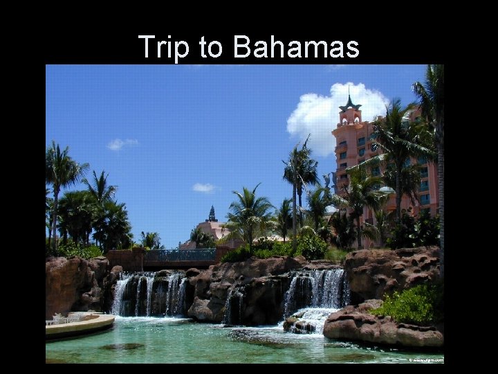 Trip to Bahamas 