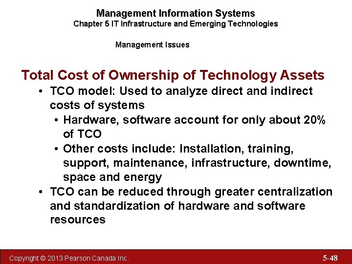 Management Information Systems Chapter 5 IT Infrastructure and Emerging Technologies Management Issues Total Cost