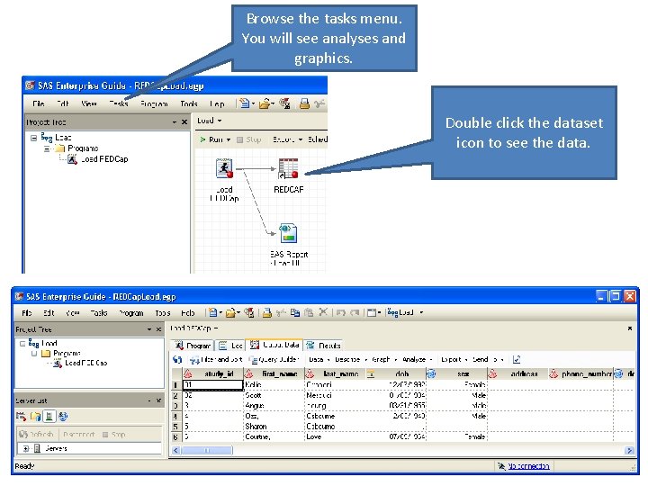 Browse the tasks menu. You will see analyses and graphics. Double click the dataset
