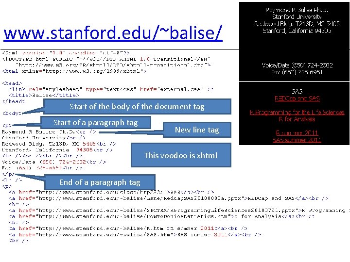 www. stanford. edu/~balise/ Start of the body of the document tag Start of a